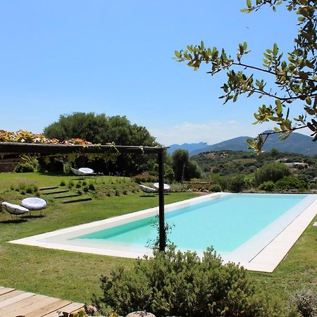 Albero Capovolto Bed & Breakfast Golfo Aranci Exterior photo